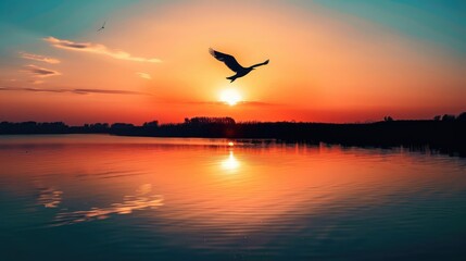 Silhouette of a bird flying over a calm lake at sunset