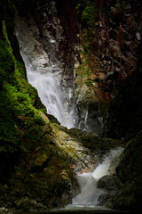 Obraz premium 尾白川渓谷 南アルプス・甲斐駒ヶ岳を源とする清流。 日本名水百選に選定された北杜の名水の一つ。 みなさんご存知「サントリー南アルプス天然水」のふるさとでもあります