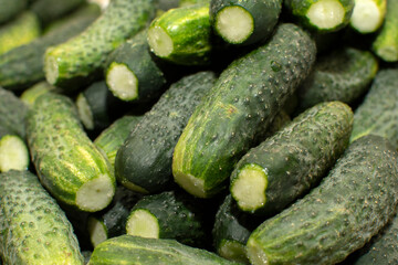 Closeup view of a pile of cucumbers	