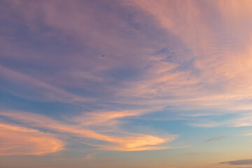 Obraz premium 優しい色の夕空