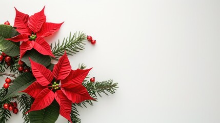 Red poinsettia flower and Christmas tree branches on white background with space for text Top view Winter holiday theme