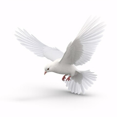 Postal white dove on a white background.