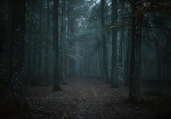 Obraz premium Dark Foggy Forest Path Cinematic Photography