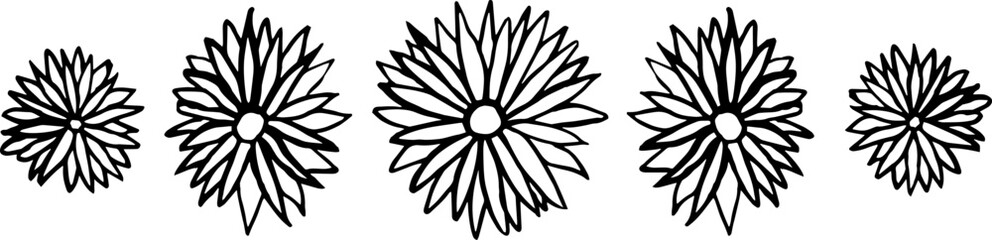 Set of five colors. Vector illustration.