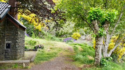 Wanderung auf der Levada das 25 Fontes mit Blick auf Ginster und den Stolz von Madeira