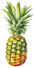Fototapeta premium PNG Pineapple fruit plant food.