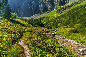 Javorova zahradka in Javorova dolina valley in High Tatras mountains in Slovakia © honza28683