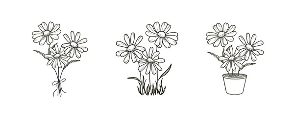 Obraz premium Set of bouquet of chamomile daisies isolated contour drawing hand drawn a white background