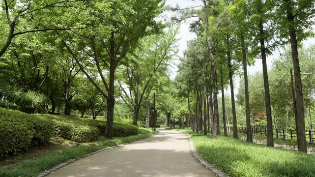 Natural Scenery of Seonyudo Park in Korea