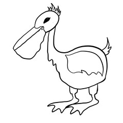 Pelican cartoon chicken fish bird, cartoon, animal, illustration, chicken, vector, funny, duck, animals