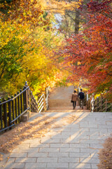 【山梨県】新倉山浅間公園の紅葉