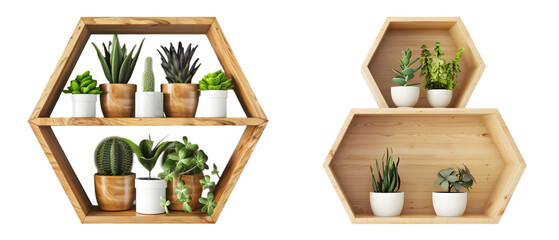 Wooden Hexagon shelf with plants on transparent background