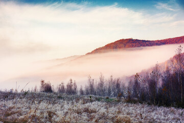 foggy morning in carpathian mountains. countryside landscape in autumn. rural meadow in hoarfrost....