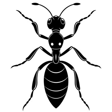 recommend clip art: Solid black outline ant animal Vector Illustration: Adorable Feline Design