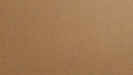 Neutral Colored Paper Texture