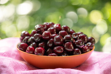 A bowl of ripe cherries on a pink towel