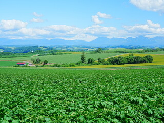 北海道の絶景 美瑛かしわ公園からの風景