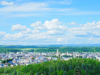 Fototapeta premium 北海道の絶景 初夏の美瑛町の風景