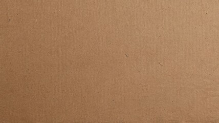 Rough Organic Paper Surface