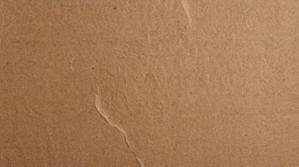 Rough Organic Paper Surface