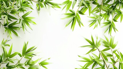 Bamboo leaf frame clipart, foliage border, 3D illustration, lush green, isolated on white background,