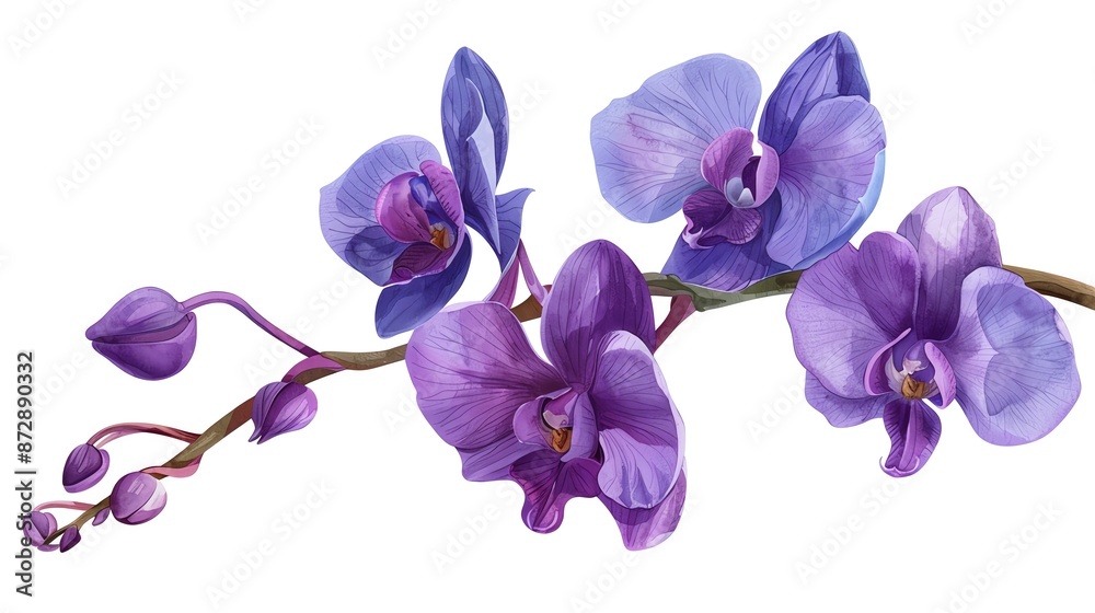 Wall mural orchid flower clipart, national flower of singapore, digital art, rich purple hues, isolated on whit