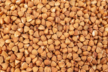 Buckwheat seeds full frame texture, healthy food backdrop, close up pattern