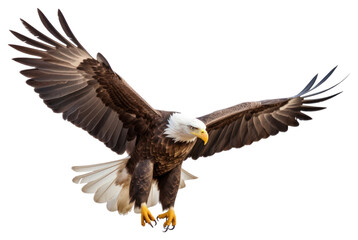 Obraz premium PNG Majestic bald eagle in flight