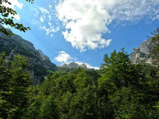 Fototapeta premium Alpen, Berge, Berggipfel - Schweiz, Österreich, Deutschland