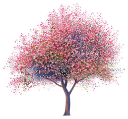 Obraz premium PNG Cherry blossom tree painting outdoors flower.