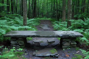 Fototapeta premium Stone Bench in a Lush Green Forest Setting