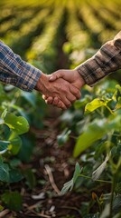 Farmers in a soy field shaking hands to finalize a deal