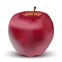 Vector drawing of set realistic red apple.