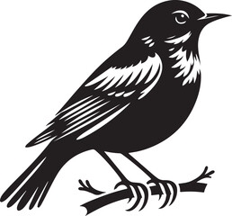bird silhouette vector image with white background