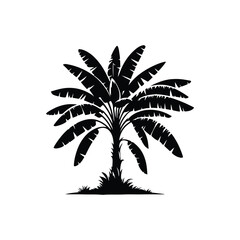 Obraz premium banana tree silhouette and vector image