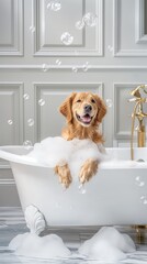 Happy golden retriever in vintage white bathtub, elegant bathroom with white panel walls