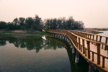 panoramic view in the Las Tablas de Daimiel national park, Castilla la Mancha, Spain.