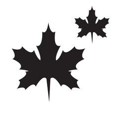 maple leaf vector