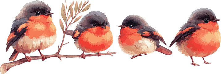 baby robin bird watercolor clipart