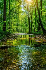 Serene forest stream with sunlight filtering through lush green trees, creating a peaceful and natural landscape setting.
