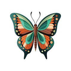 illustration of a butterfly with white background