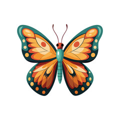 illustration of a butterfly with white background