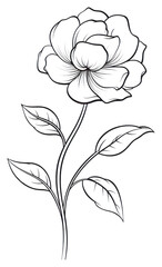 PNG Flower sketch pattern drawing.