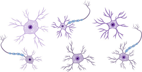 Brain neuron symbol. Neural cell - medical body health. Physiology structure and system, human anatomy and biology. Scientific biological nervous organ