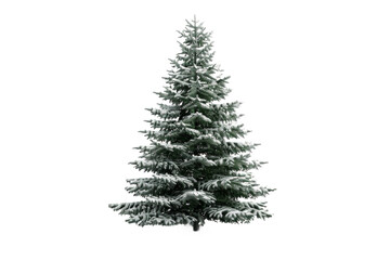 Obraz premium A tall evergreen tree covered in snow