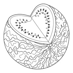 Fresh open watermelon line art. Cartoon ripe Cut watermelon heart. Hand drawn doodle style isolated coloring book organic natural dessert, healthy sweet juicy summer fruit. Vector illustration