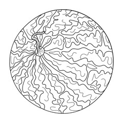 Fresh Whole watermelon line art. Cartoon ripe watermelon. Hand drawn Trendy doodle style isolated coloring page fruit organic natural dessert, healthy sweet red juicy summer fruit. Vector illustration