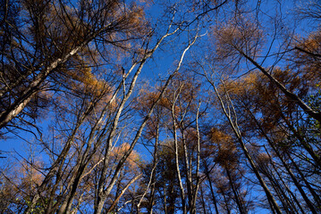 Climbing  Mount Asama-kakushi, Gunma, Japan