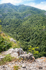 Details of the nature and natural state of the Rtanj mountain in eastern Serbia. Rtanj mountain, also known as the Serbian pyramid with rocks and vegetation. North hiking side with view