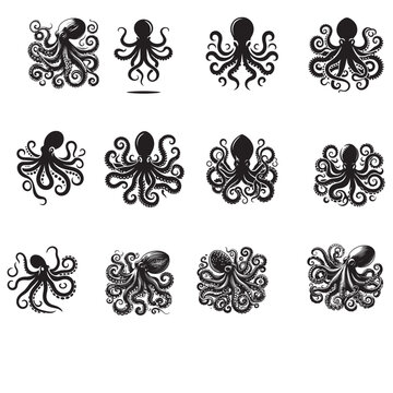 octopas vector illustration 